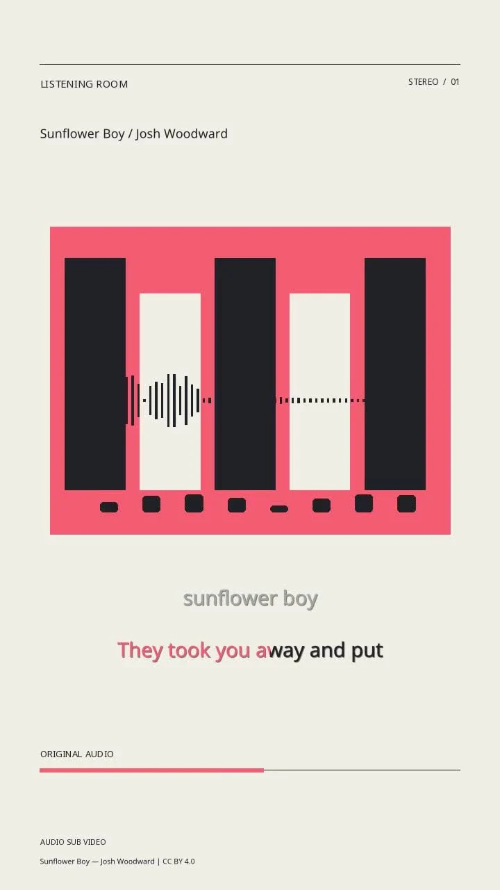 Sunflower Boy / Josh Woodward