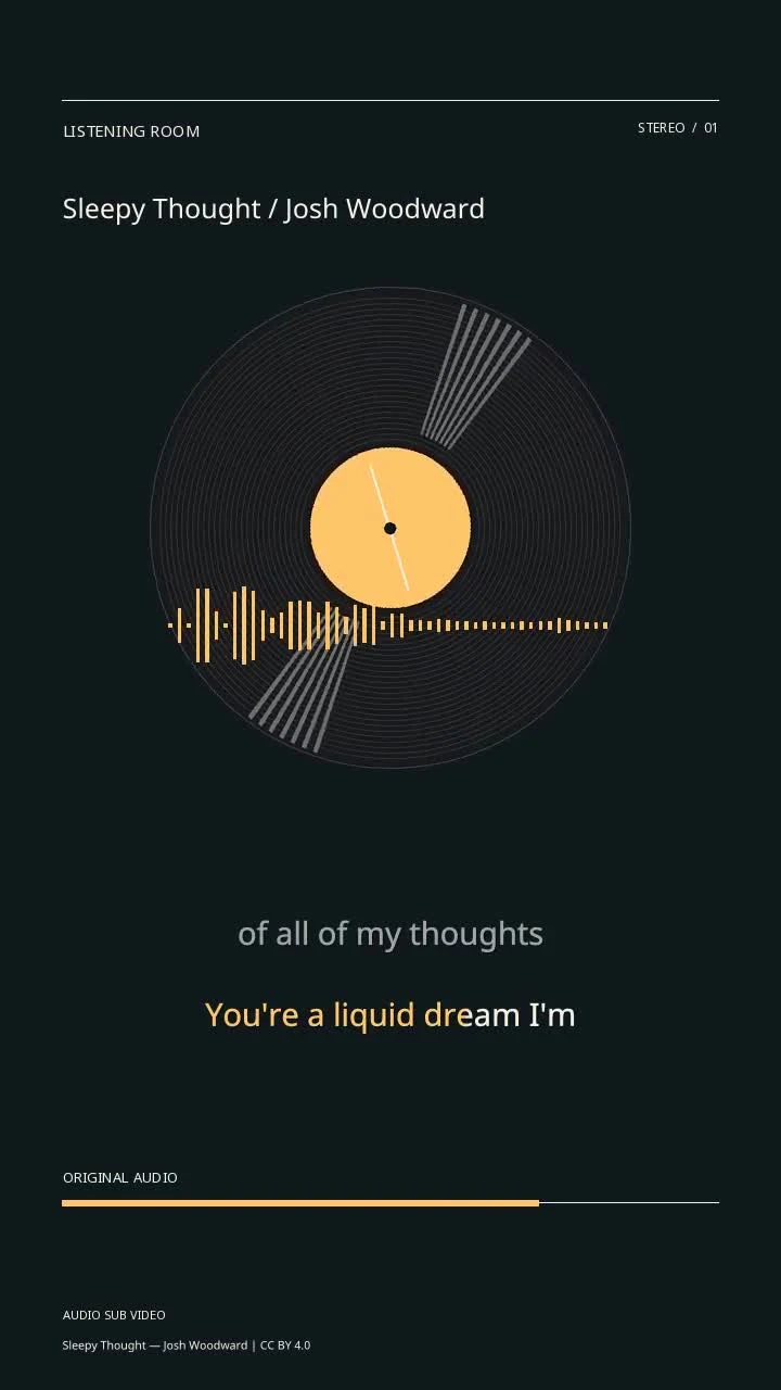 Sleepy Thought / Josh Woodward