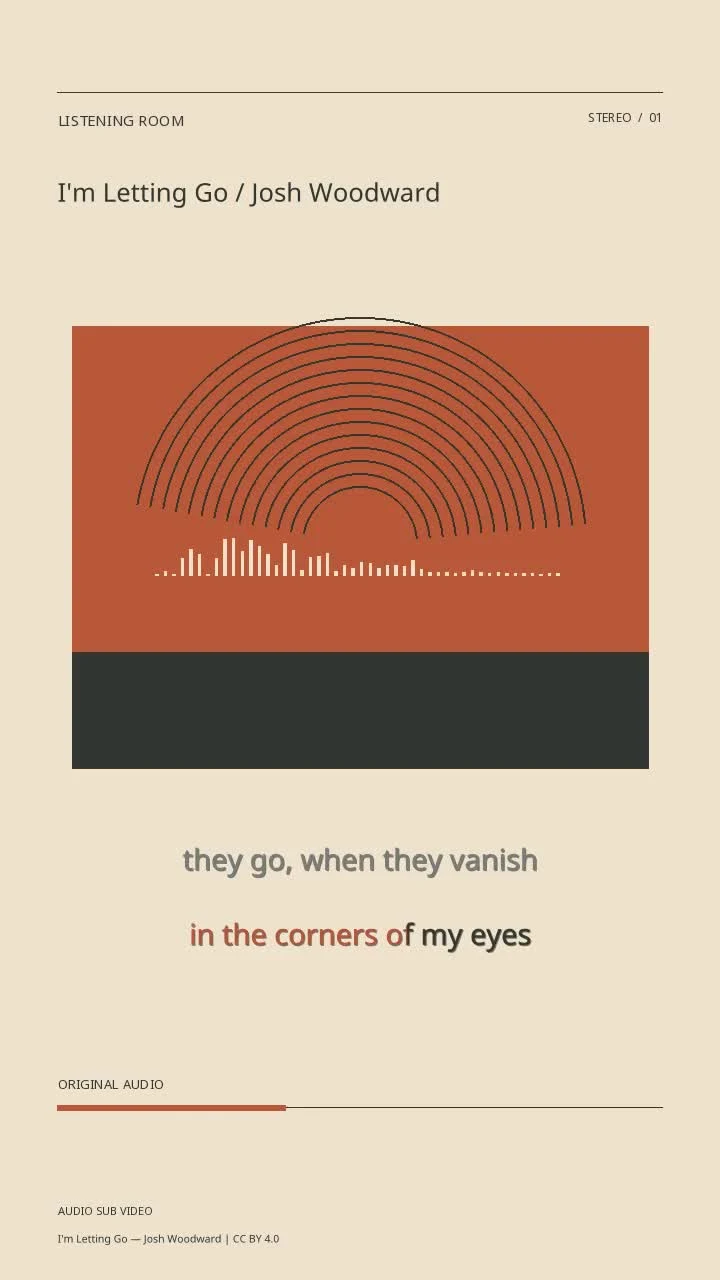 I'm Letting Go / Josh Woodward
