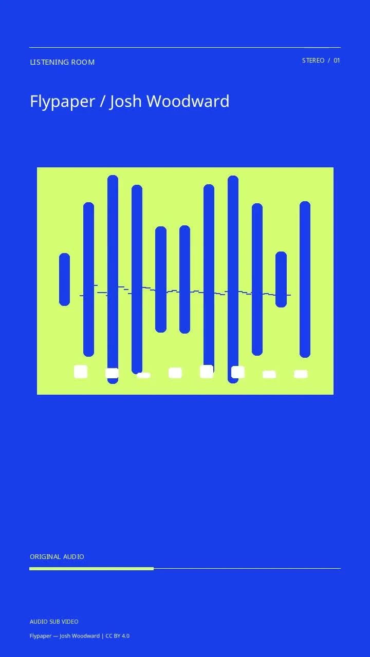 Flypaper / Josh Woodward