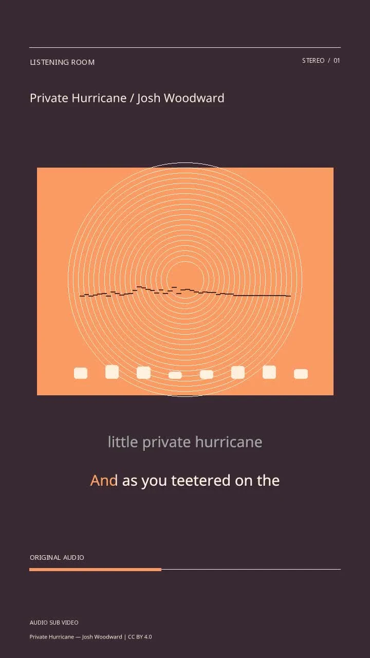 Private Hurricane / Josh Woodward