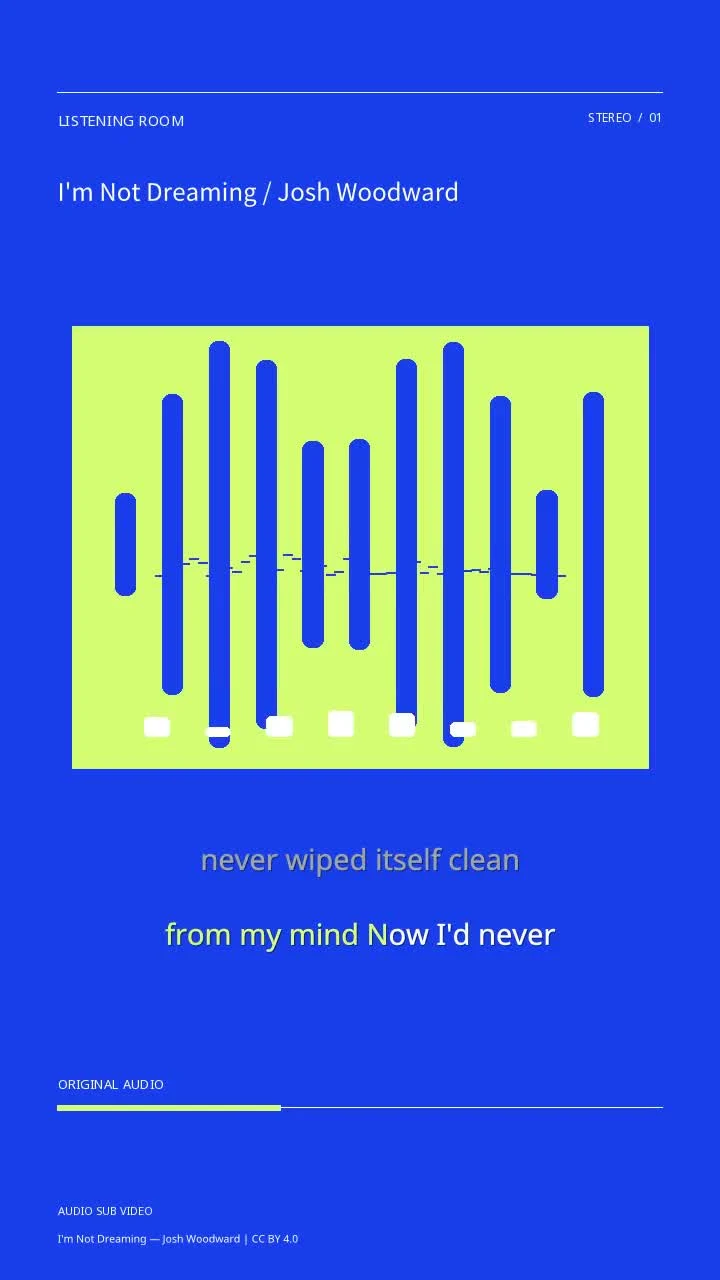 I'm Not Dreaming / Josh Woodward