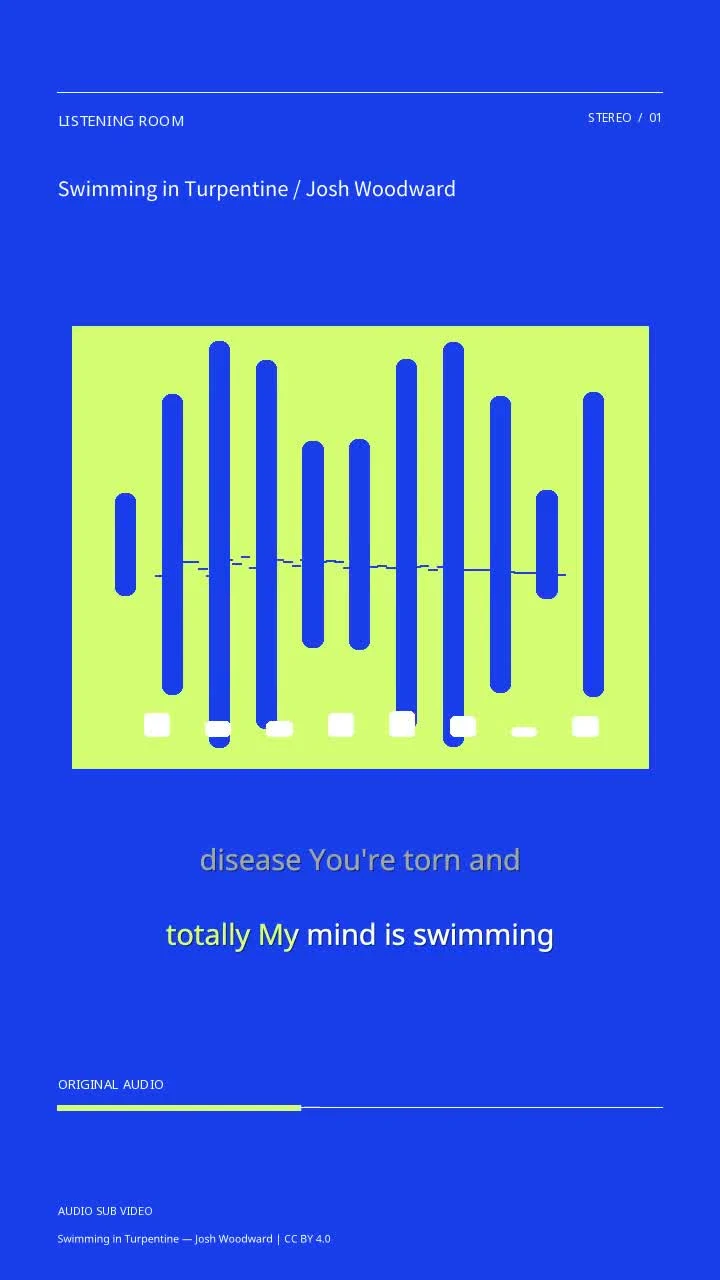 Swimming in Turpentine / Josh Woodward