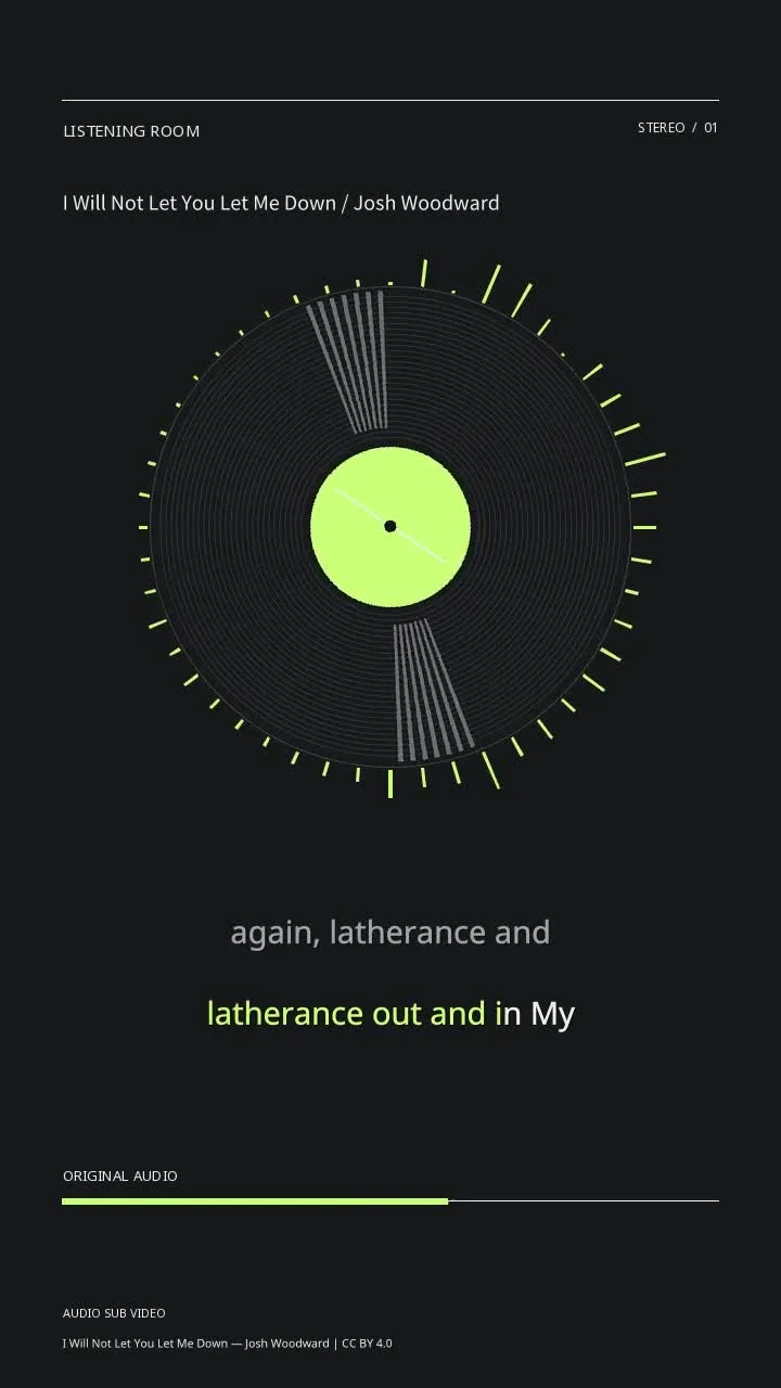 I Will Not Let You Let Me Down / Josh Woodward