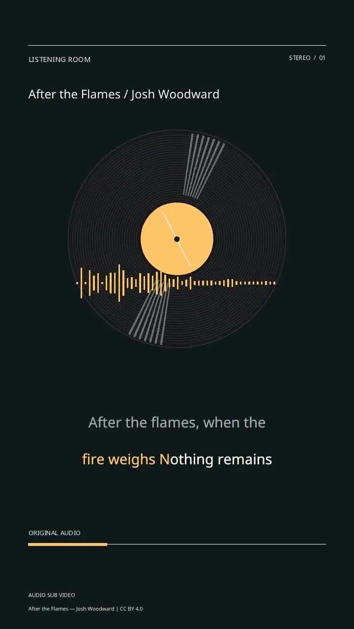 After the Flames / Josh Woodward