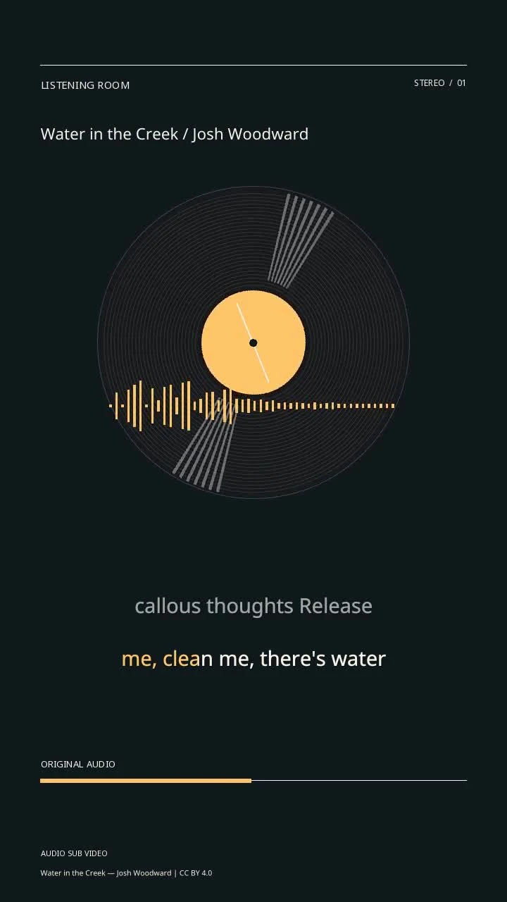 Water in the Creek / Josh Woodward