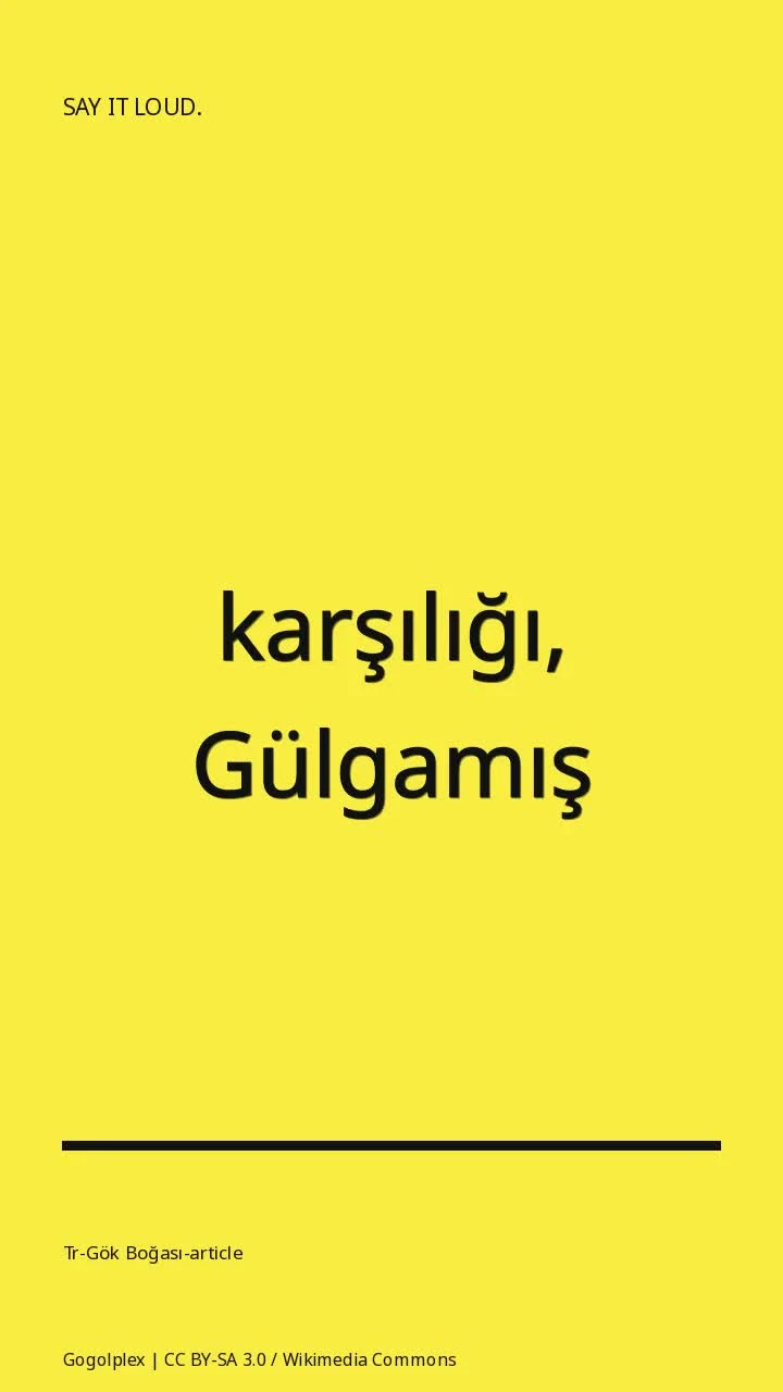 Tr-Gök Boğası-article