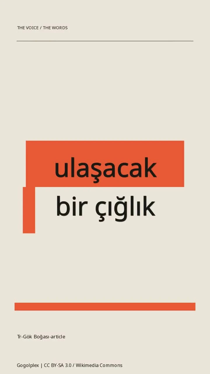Tr-Gök Boğası-article