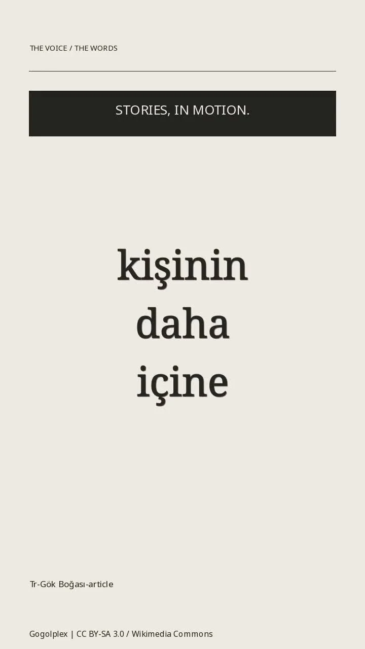 Tr-Gök Boğası-article