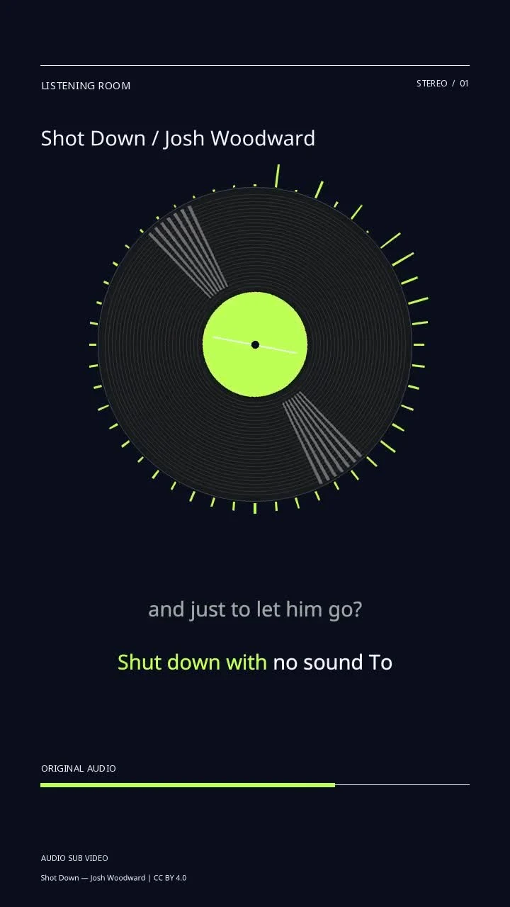 Shot Down / Josh Woodward