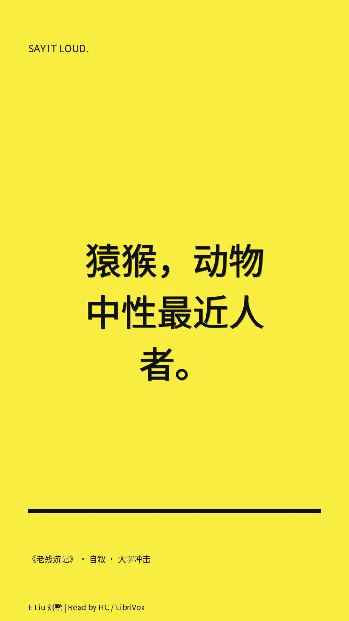 《老残游记》 · 自叙 · 大字冲击
