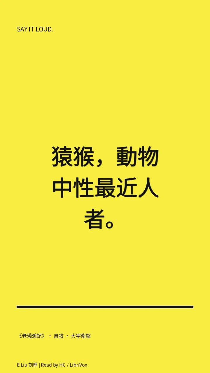 《老殘遊記》 · 自敘 · 大字衝擊