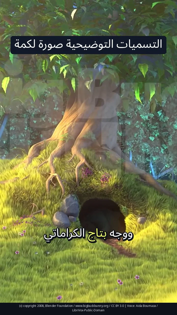 التسميات التوضيحية صورة لكمة