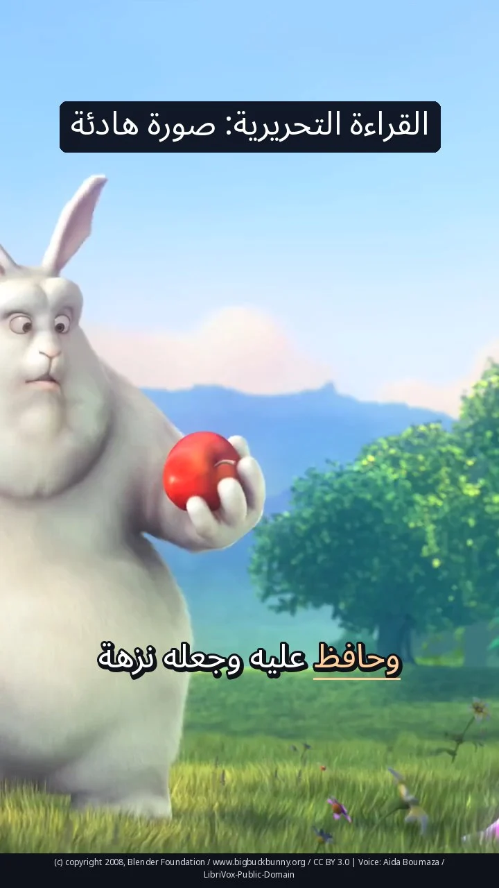القراءة التحريرية: صورة هادئة