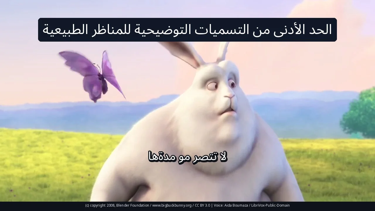 الحد الأدنى من التسميات التوضيحية للمناظر الطبيعية