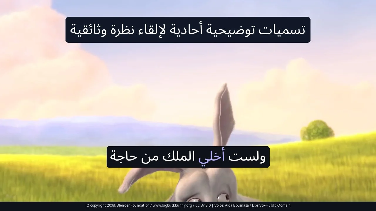 تسميات توضيحية أحادية لإلقاء نظرة وثائقية
