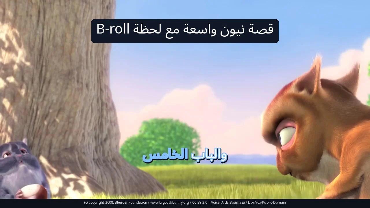 قصة نيون واسعة مع لحظة B-roll