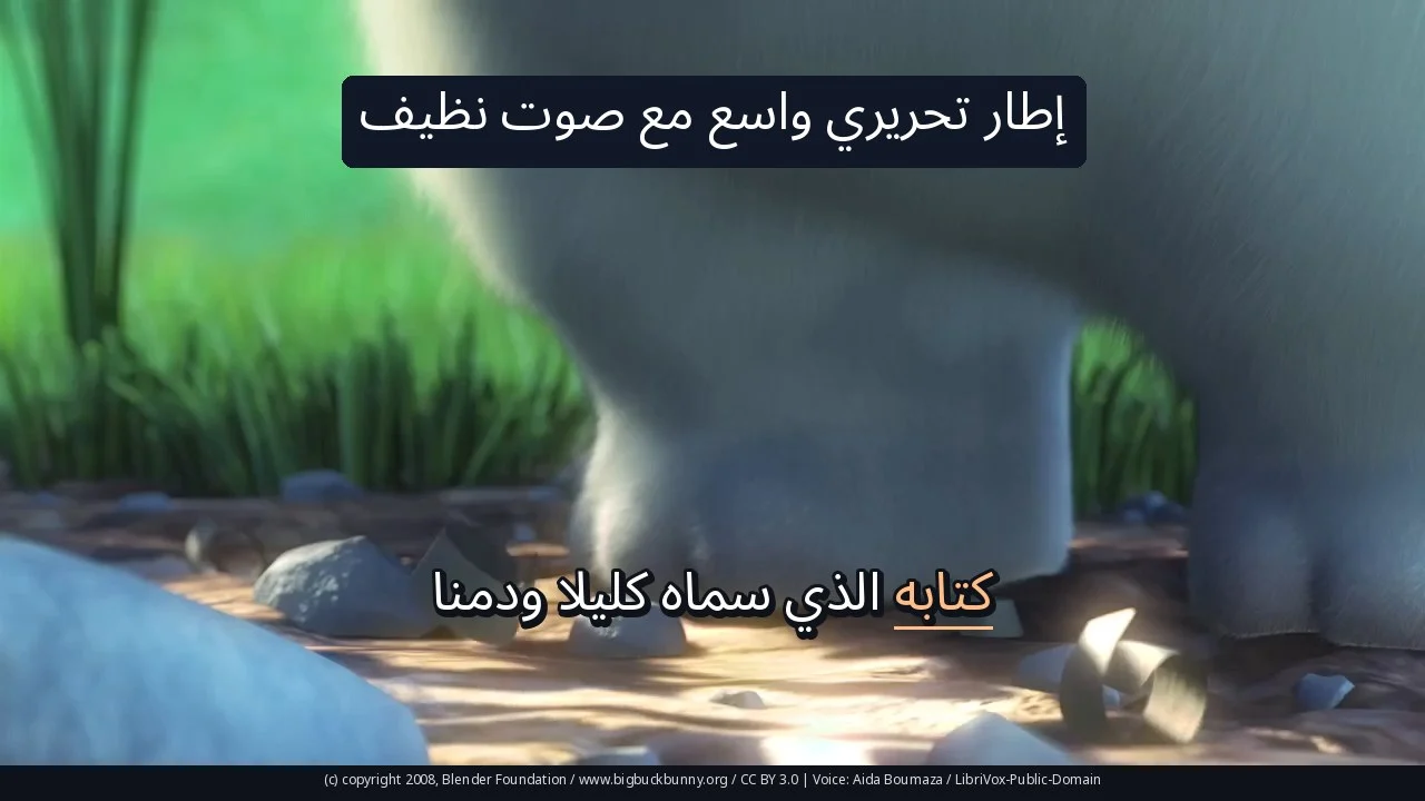 إطار تحريري واسع مع صوت نظيف