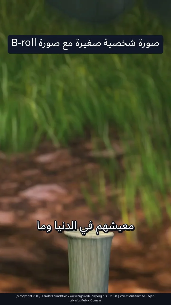 صورة شخصية صغيرة مع صورة B-roll