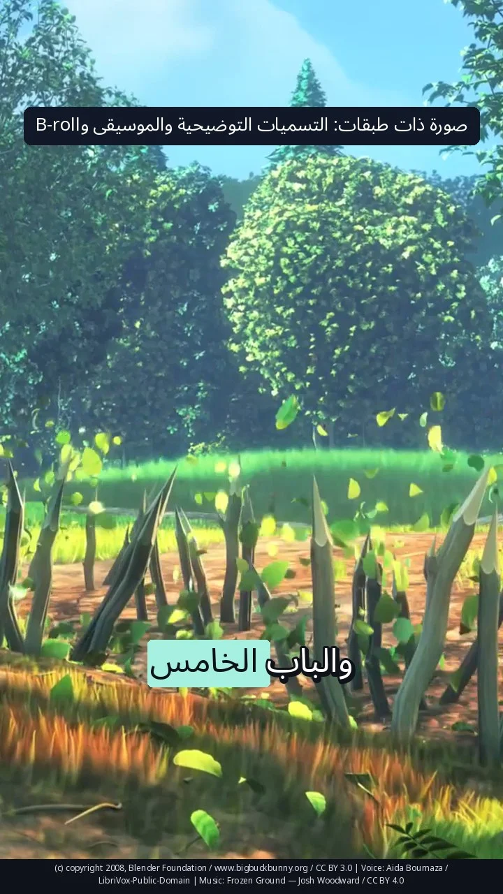 صورة ذات طبقات: التسميات التوضيحية والموسيقى وB-roll