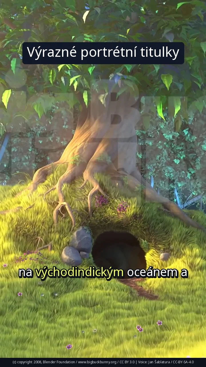 Výrazné portrétní titulky