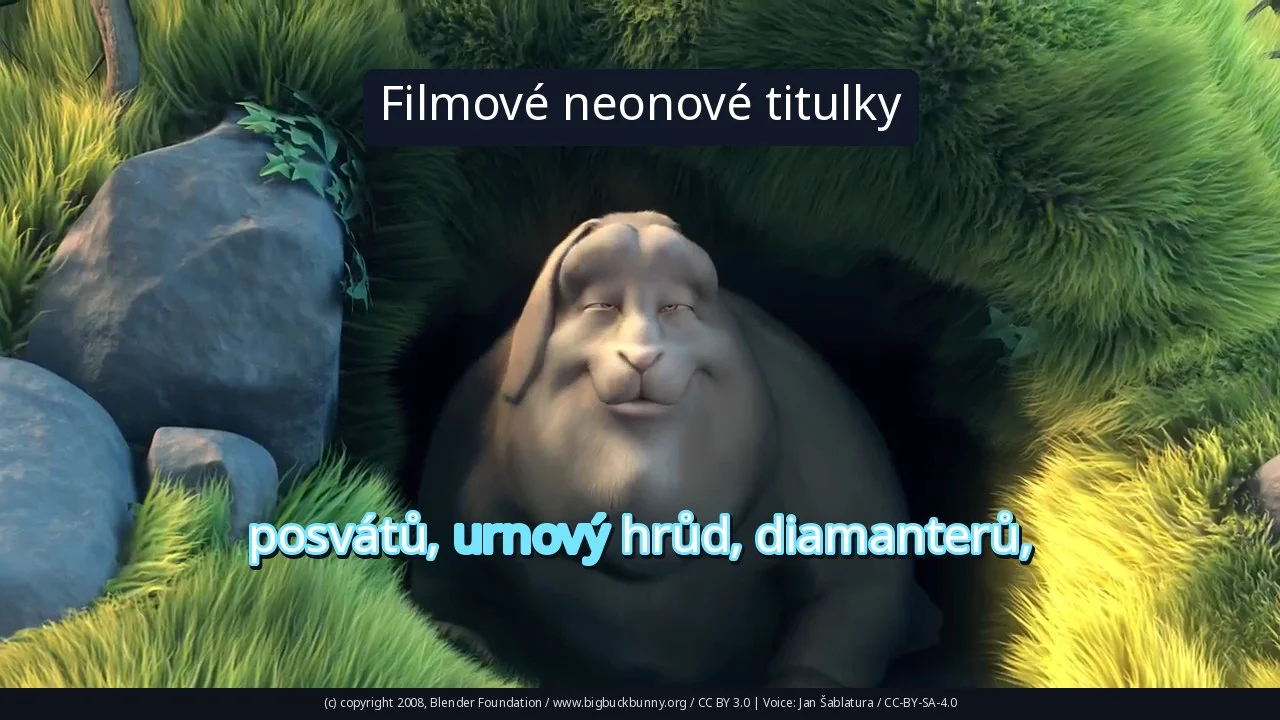 Filmové neonové titulky