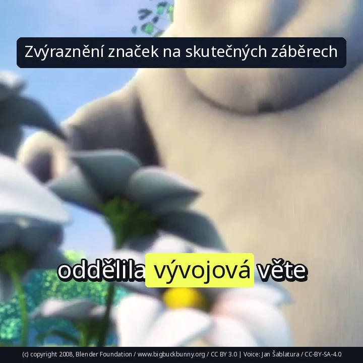 Zvýraznění značek na skutečných záběrech