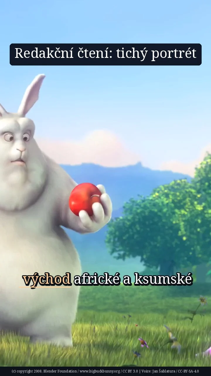 Redakční čtení: tichý portrét