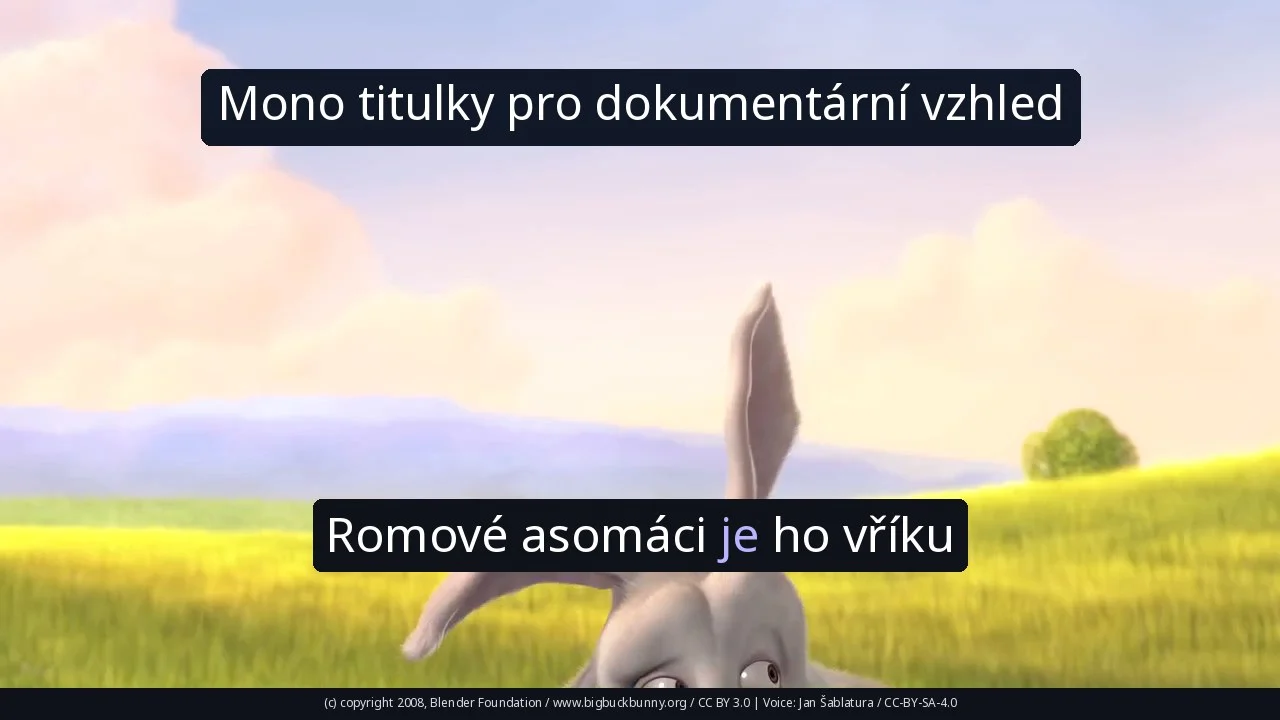 Mono titulky pro dokumentární vzhled
