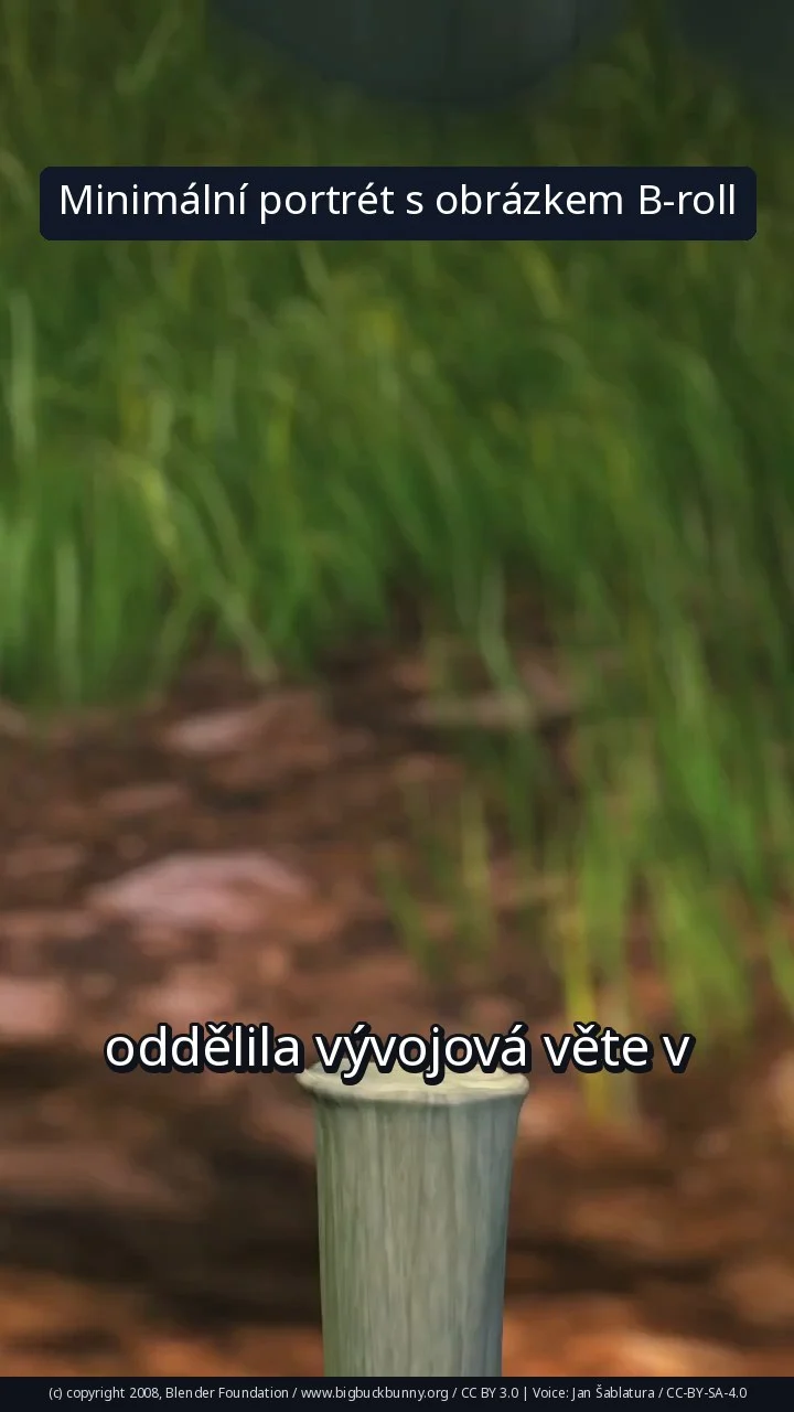 Minimální portrét s obrázkem B-roll