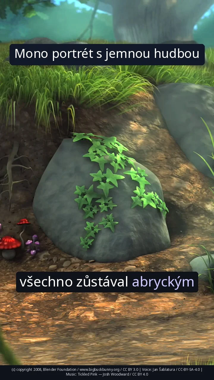 Mono portrét s jemnou hudbou