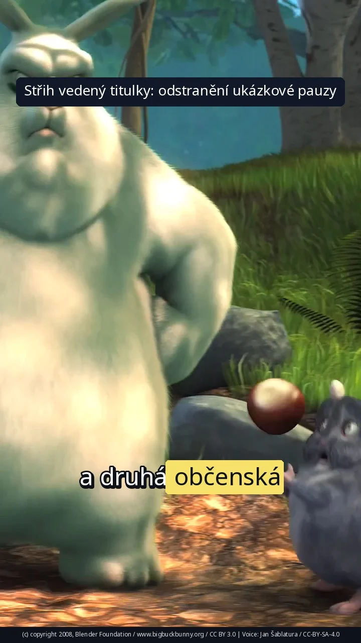 Střih vedený titulky: odstranění ukázkové pauzy
