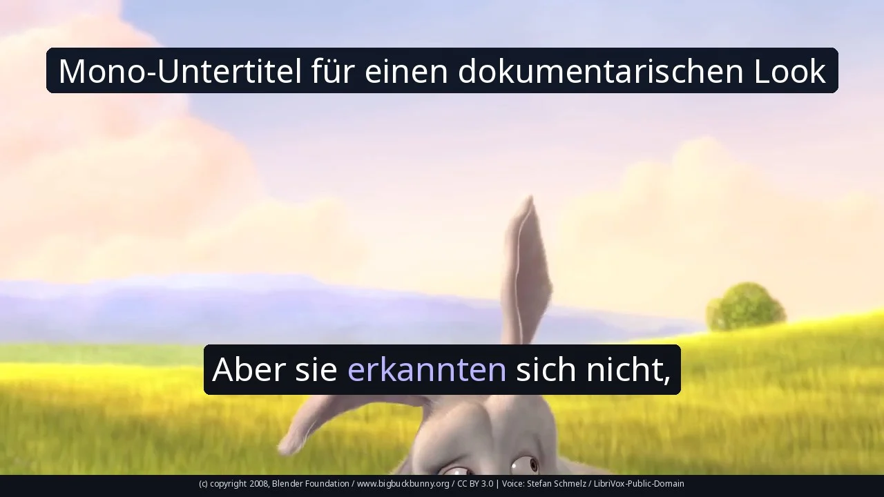 Mono-Untertitel für einen dokumentarischen Look