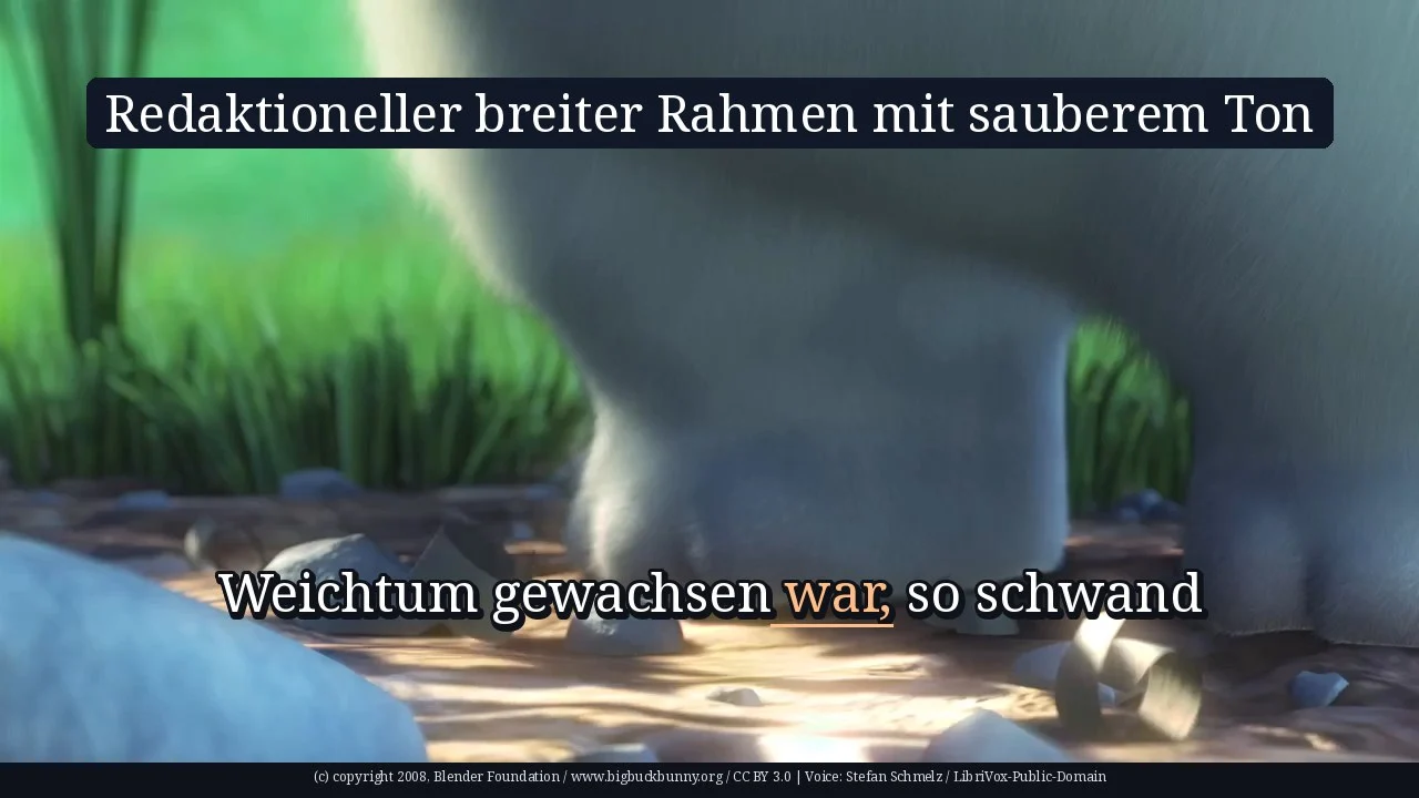 Redaktioneller breiter Rahmen mit sauberem Ton
