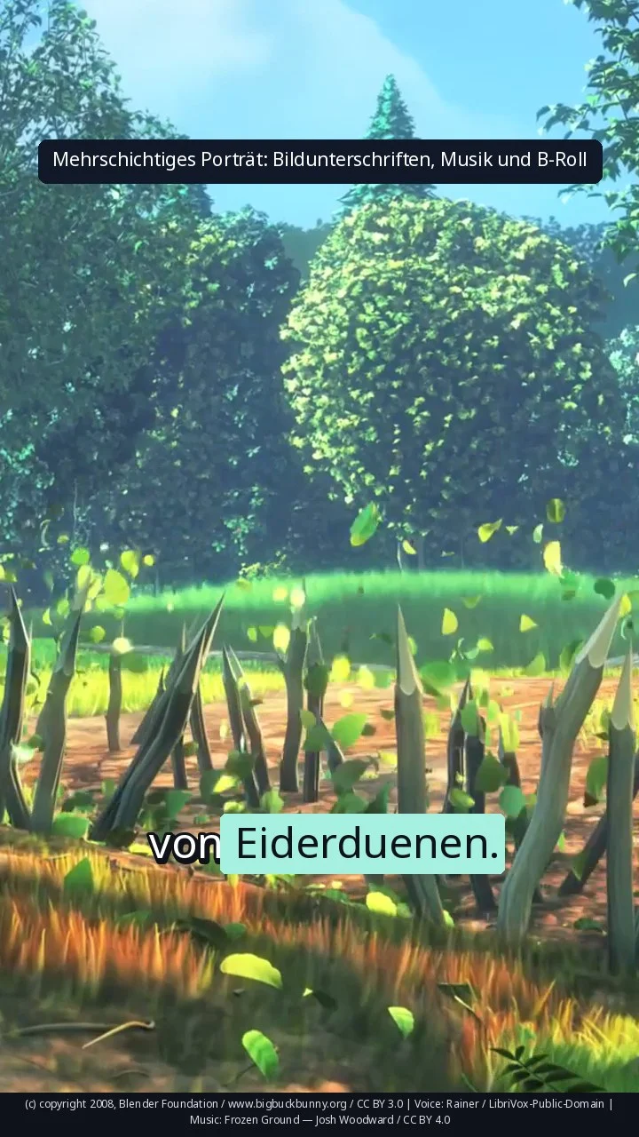 Mehrschichtiges Porträt: Bildunterschriften, Musik und B-Roll