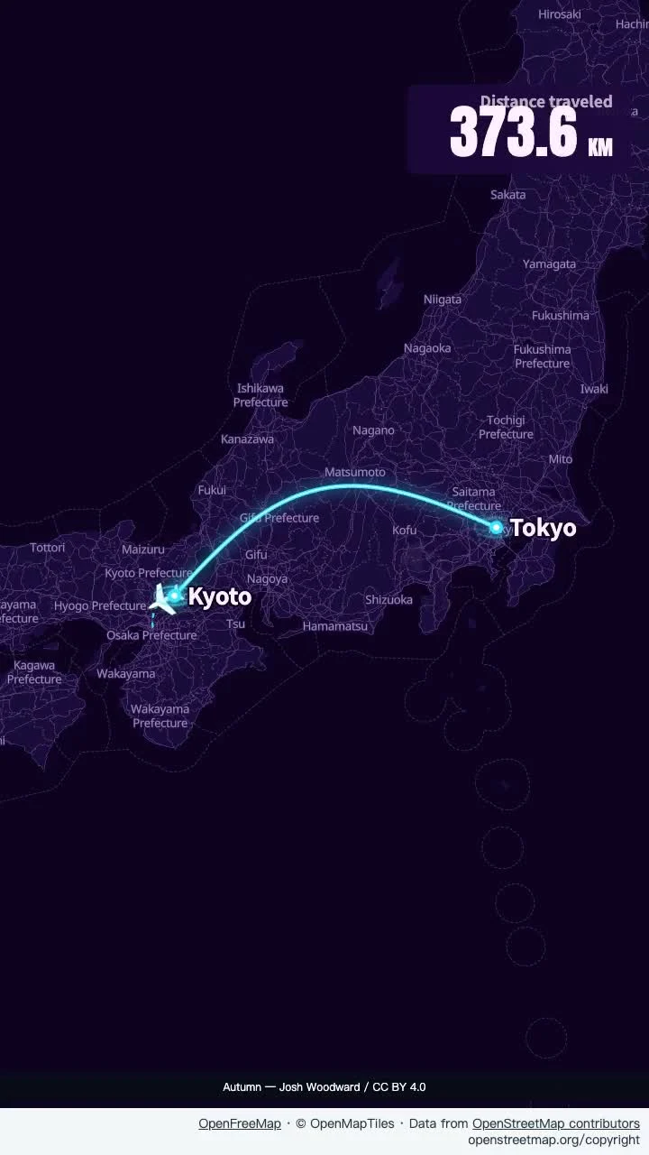 Japan after dark: neon flight