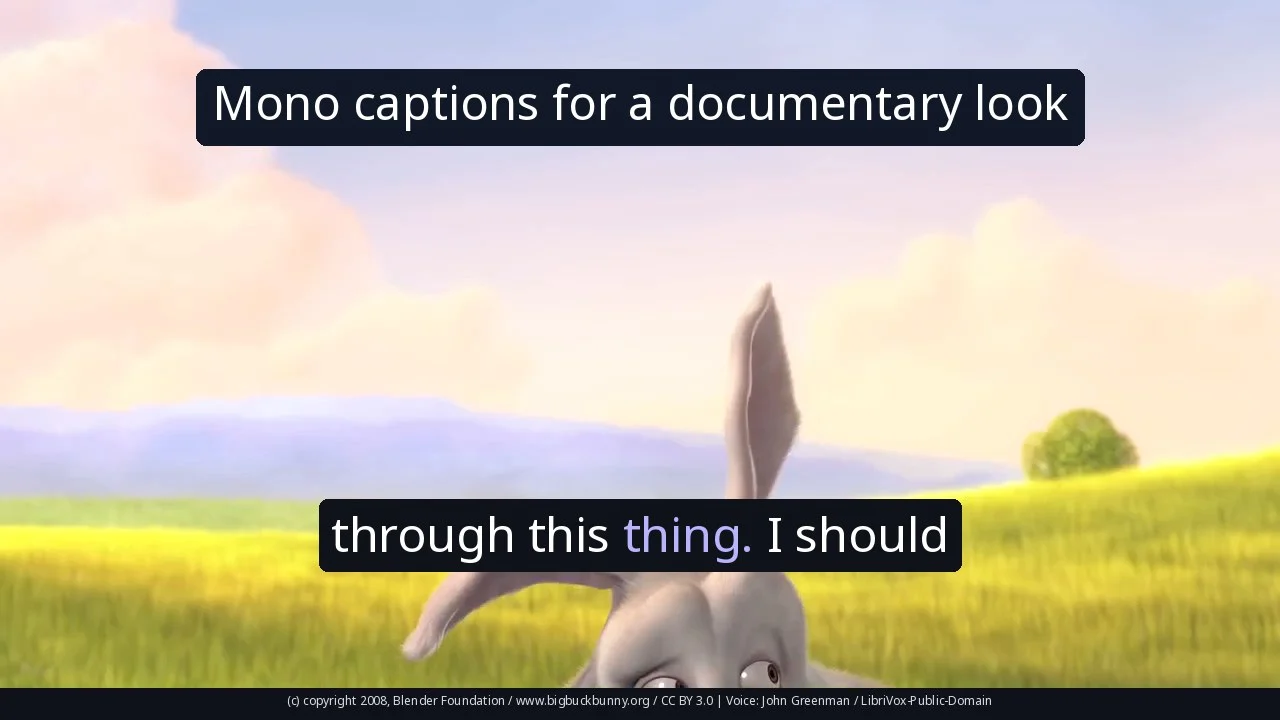Mono captions for a documentary look