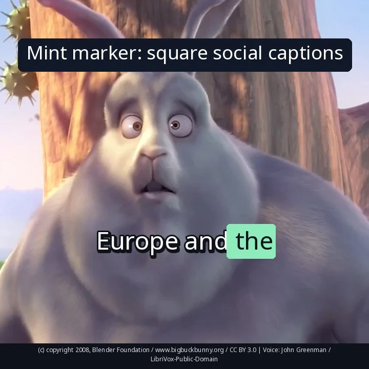 Mint marker: square social captions