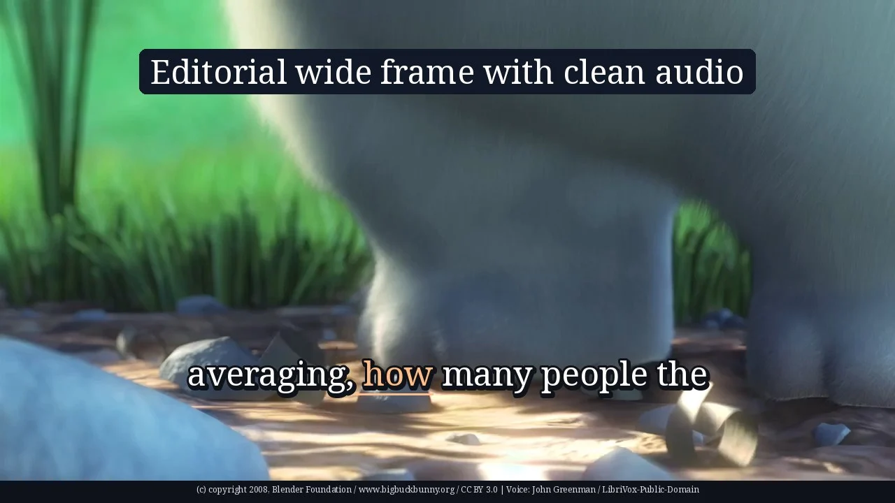 Editorial wide frame with clean audio