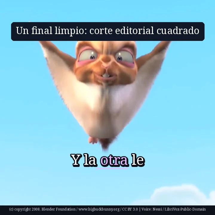 Un final limpio: corte editorial cuadrado
