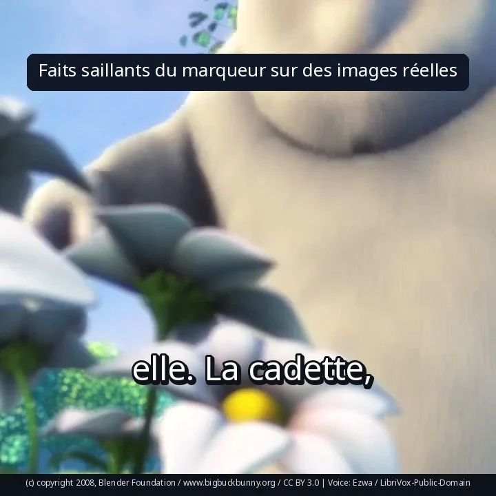 Faits saillants du marqueur sur des images réelles