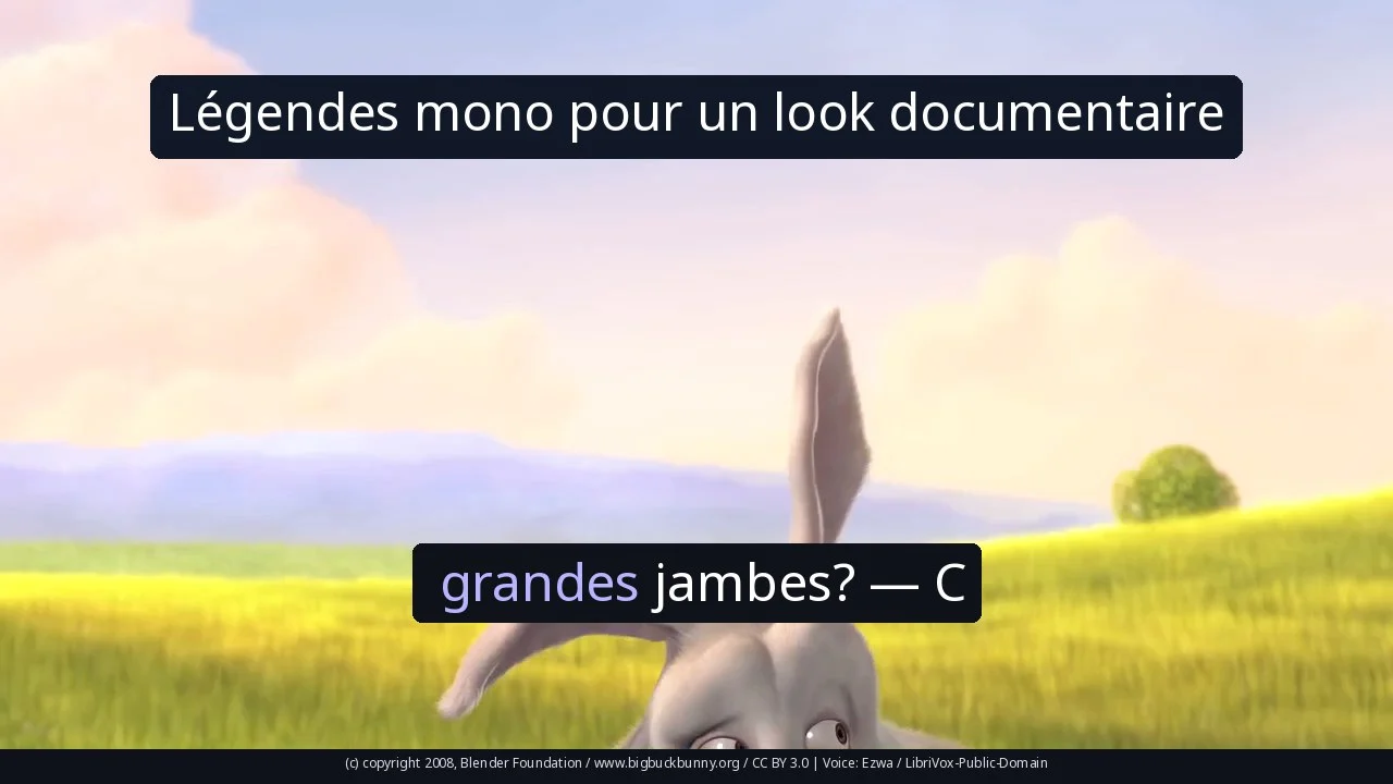 Légendes mono pour un look documentaire