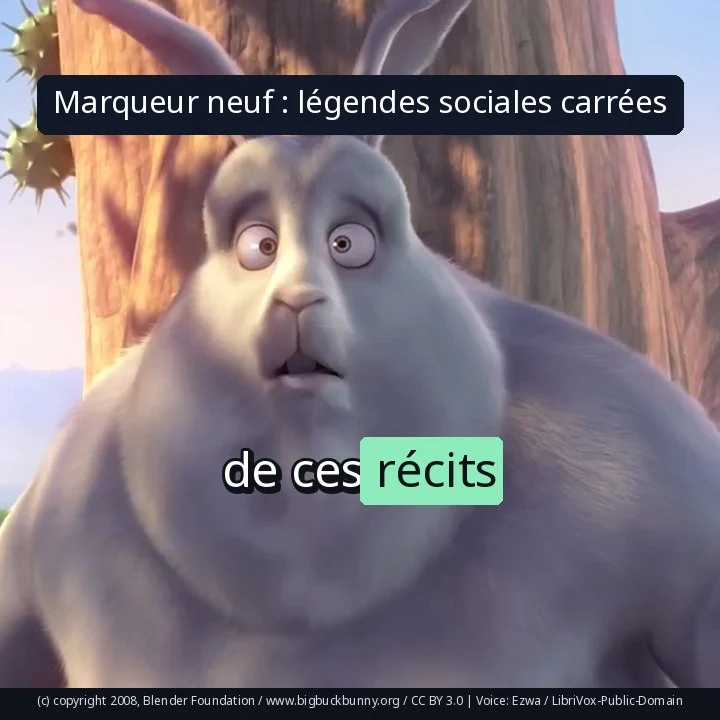 Marqueur neuf : légendes sociales carrées