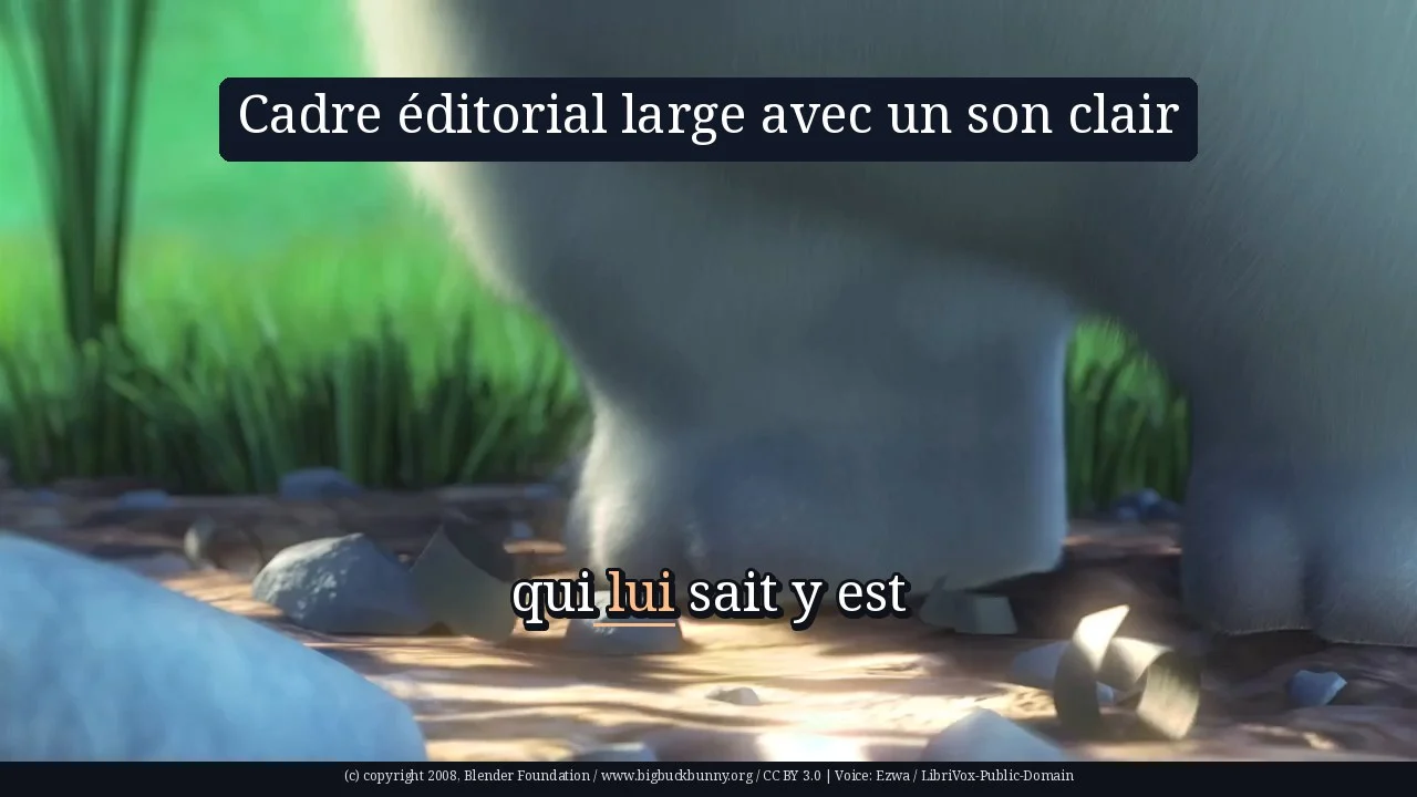Cadre éditorial large avec un son clair