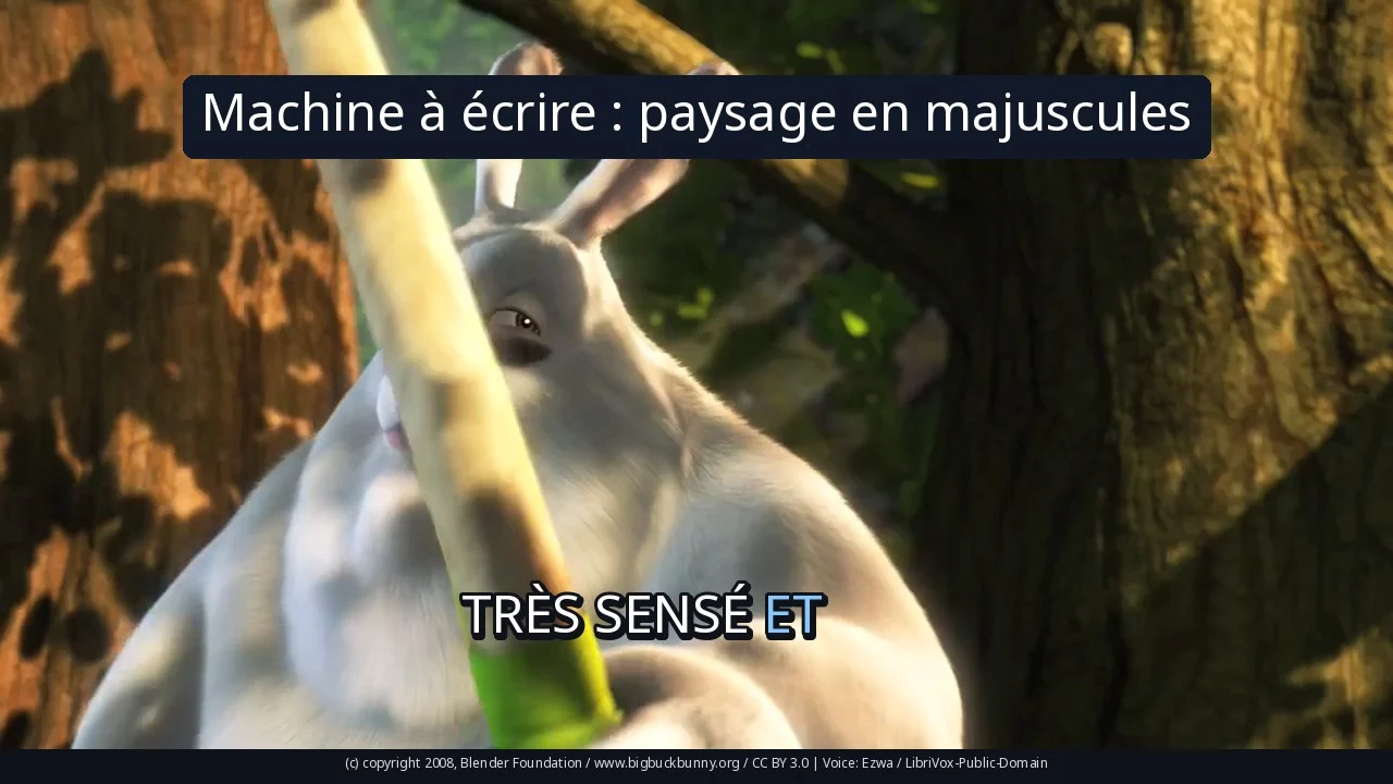 Machine à écrire : paysage en majuscules