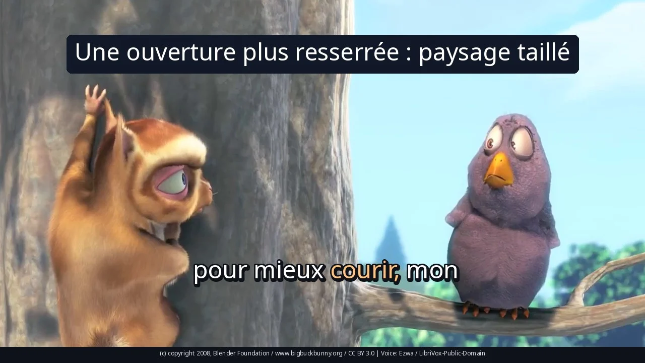 Une ouverture plus resserrée : paysage taillé
