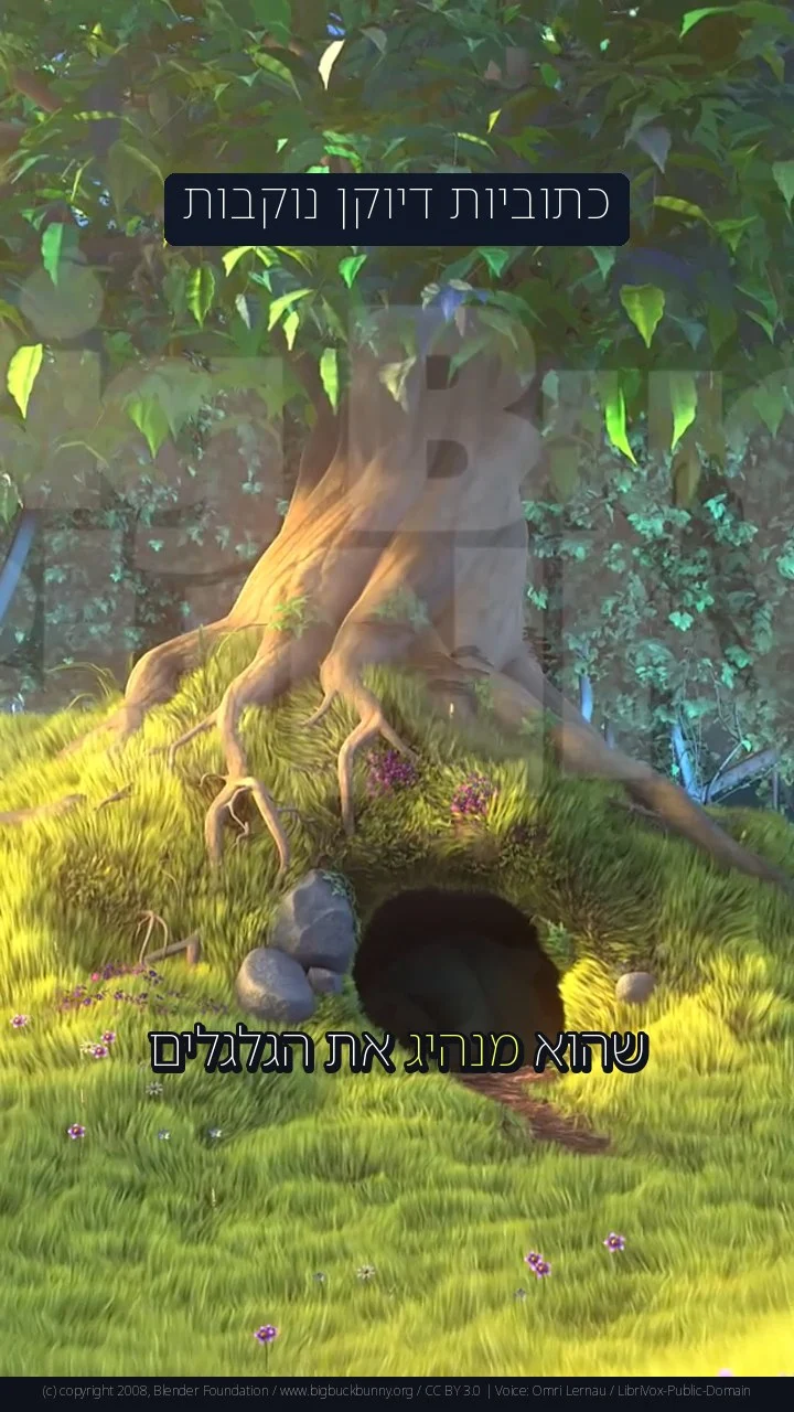 כתוביות דיוקן נוקבות
