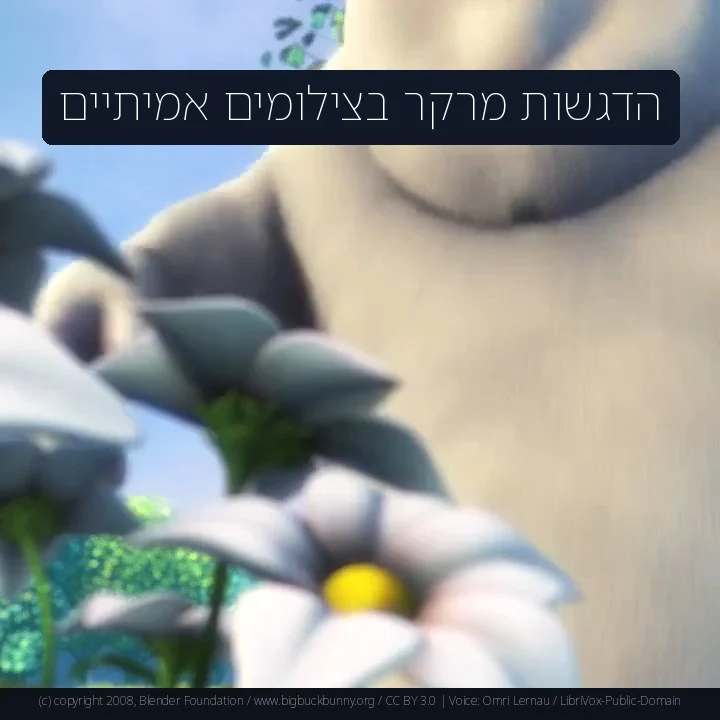 הדגשות מרקר בצילומים אמיתיים