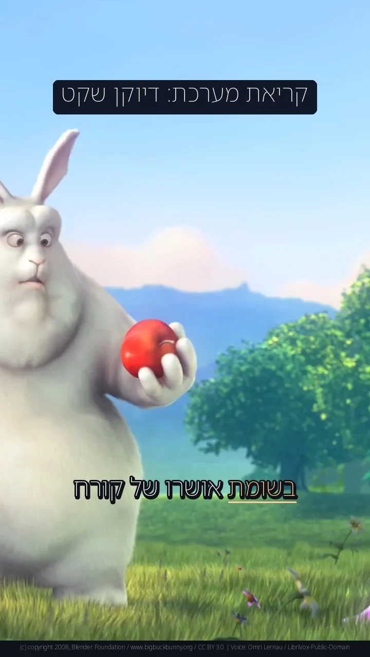 קריאת מערכת: דיוקן שקט