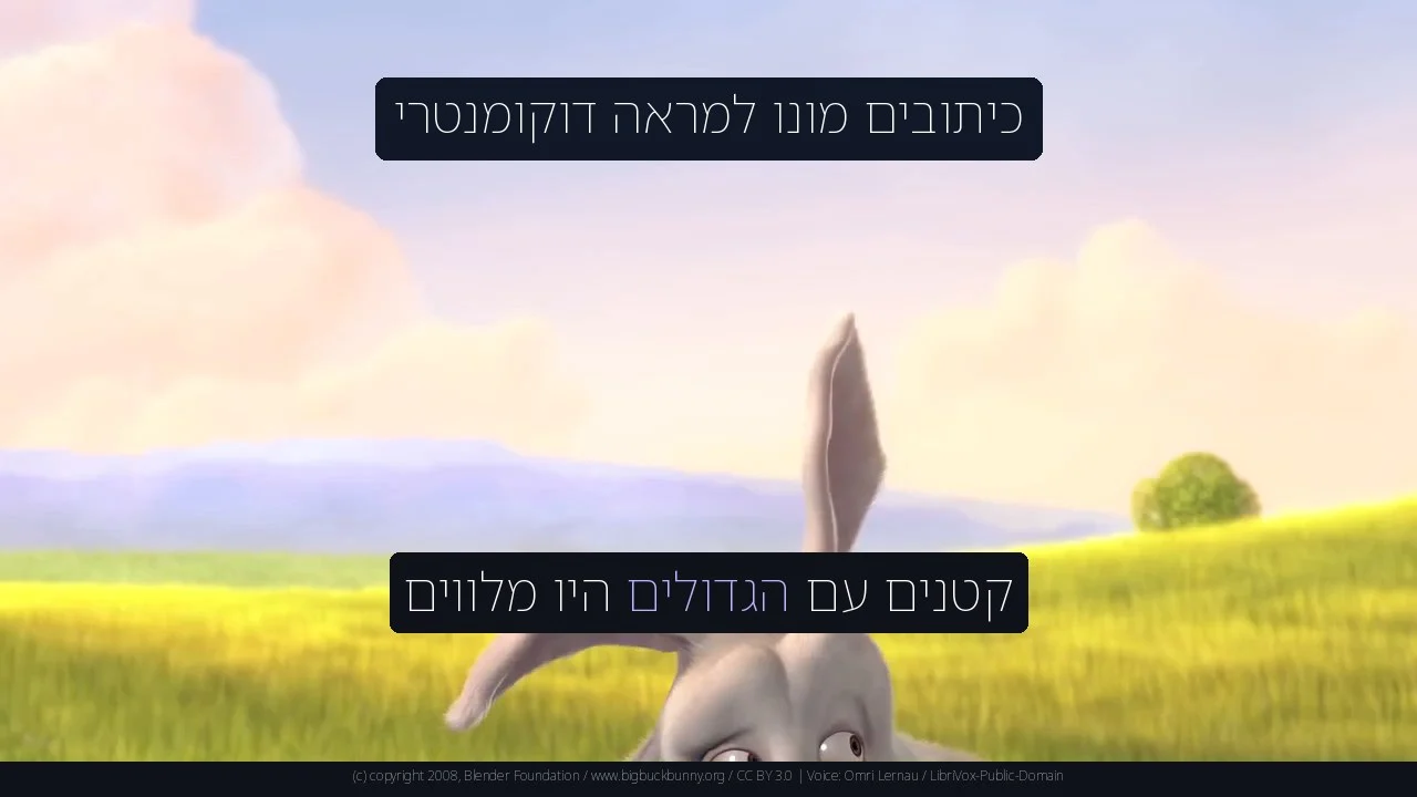 כיתובים מונו למראה דוקומנטרי